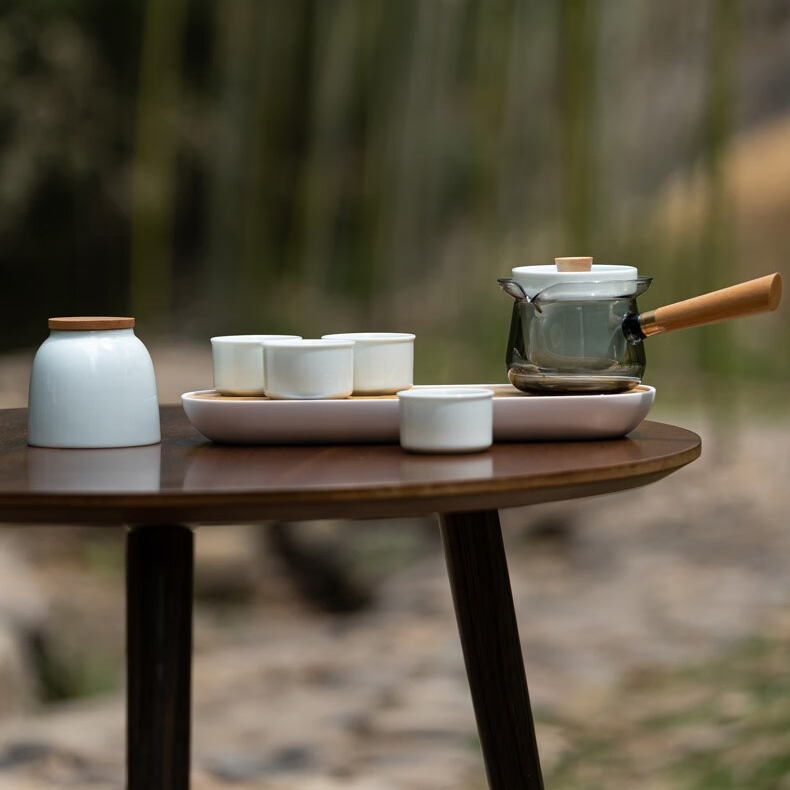 Leisure Moments Celadon Travel Tea Set