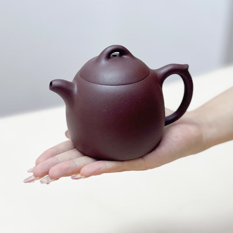 Power and Stability Yixing Teapot (Qin Weight Style) & Tea Pets