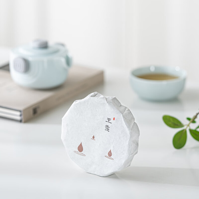 Tea Time Celadon Travel Tea Set